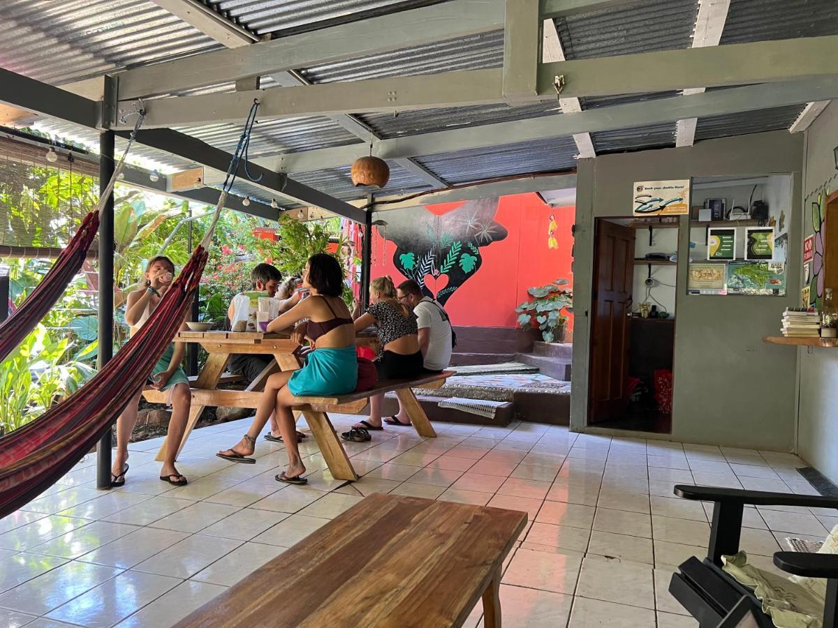 Pura Vida Hostel Montezuma Eksteriør billede