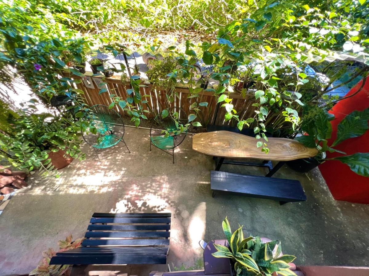 Pura Vida Hostel Montezuma Eksteriør billede